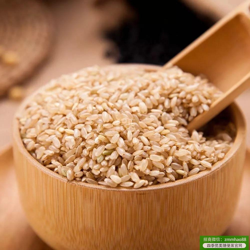 四季优美随便果：有哪些可以代替米饭的减肥主食？